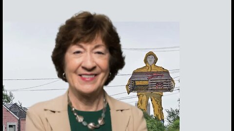 Senator Susan Collins is Disappointed with the North Atlantic Right Whale