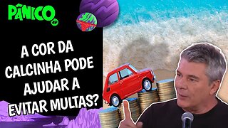 USAR O 13º COM IPVA E LICENCIAMENTO GARANTE UM ANO MELHOR QUE PULAR AS 7 ONDAS? Alex Ruffo comenta