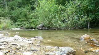 4K Relaxing River Ultra HD Nature Video Water Stream Sleep Study Meditate