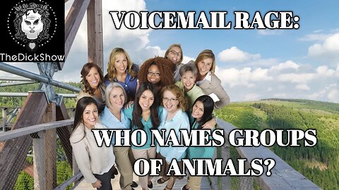 An Annoyance of Women and Other Groups of Animals