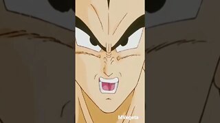 Vegeta bravo