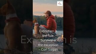 Extinction is the rule. Survival is the exception – Carl Sagan