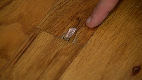 Repairing hardwood floor damage | House Calls with James Tully