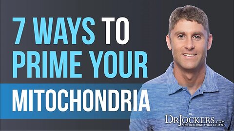 7 Ways to Support Your Mitochondria