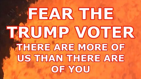 FEAR THE TRUMP VOTER USA 2022