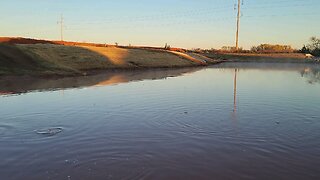 The pond this morning