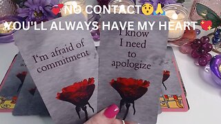 💞NO CONTACT😯CROSSING OVER POINT 🙏YOU'LL ALWAYS HAVE MY HEART 💖✨COLLECTIVE LOVE TAROT READING 💓✨
