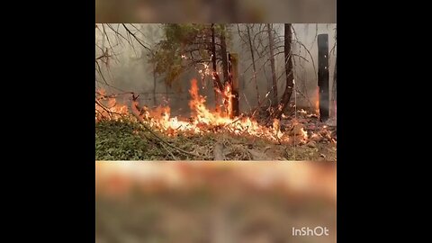The Park Fire in California
