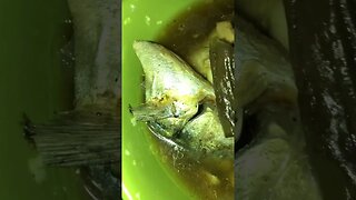 Paksiw na isda! Lutong Bahay! Yummy! #shorts #foodie #food #mukbang #cooking #lutongbahay #short