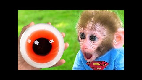 Monkey Baby Bon Bon eats Eyeballs Jelly with puppy and playing with duckling