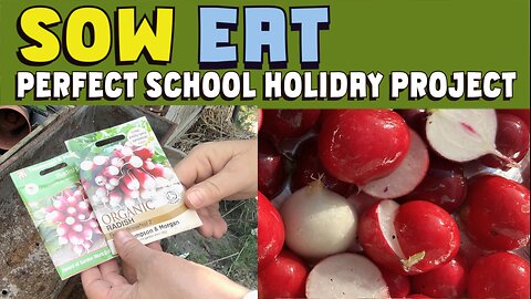 SOW RADISHES NOW: Perfect school holiday project. Nutritious, easy, quick to grow.