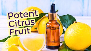 Bergamot Orange | The Benefits of Bergamot Tea