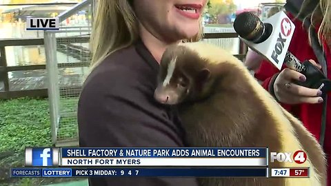 Shell Factory and Nature Park adds "Close Encounters" Attraction