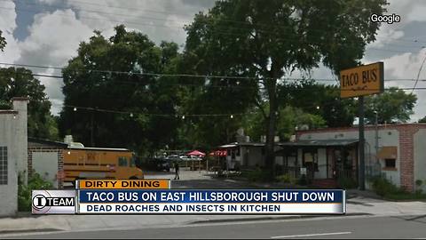 Dirty Dining: Taco Bus closes for rodents