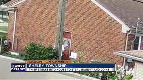 Man caught on camera breaking into Shelby Township home, police look for suspect