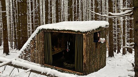 Moss roof Cabin under Snowstorm Woods