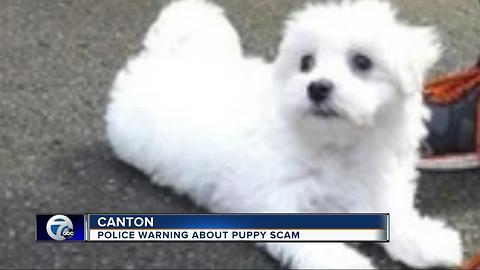 Canton police warning about puppy scam