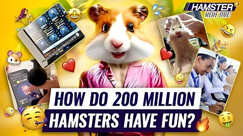 Hamster Meme Time: How Do 200 Million Hamsters Have Fun?