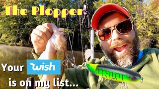 2022 12 01 Wish Whopper Plopper