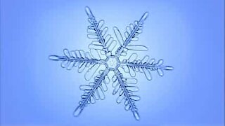 Ipnotico: fiocchi di neve sotto la lente del microscopio