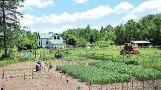 Haliburton Homesteaders Meeting. April 12th. Local Issues. Andrew McGillivray. Update, PAL Courses.