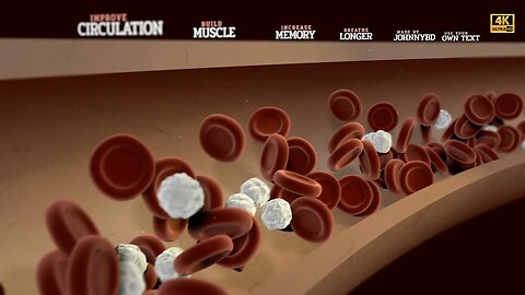 After Effects Template - The Blood