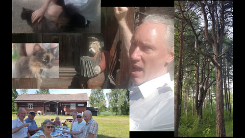 Ljusdal folk museum. Your movement needs to infiltrate! Some sight-seeing and cat patting