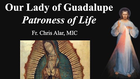 Explaining the Faith - Our Lady of Guadalupe: Patroness of Life