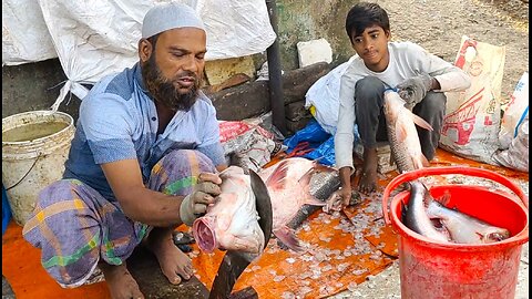 Big Katla Carp Fish Cutting By Expert Cutter In Bangladeshi Fish Market