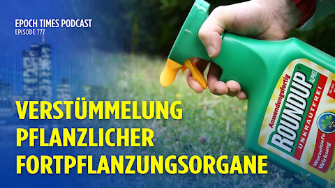 Glyphosat-Pestizide verbleiben jahrelang in Wildpflanzen und verursachen Blüten-Unfruchtbarkeit