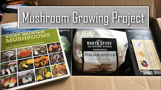 Growing Mushrooms at Home - Montana Living