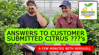 Madison Citrus Nursery - Q&A: With an Online Citrus Nursery Owner