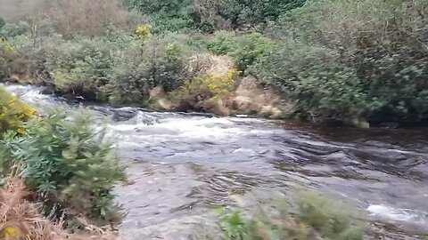 Avon river. Dartmoor 25th March 2023