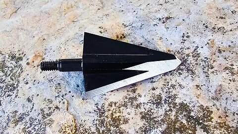 VPA Omega Broadhead Review