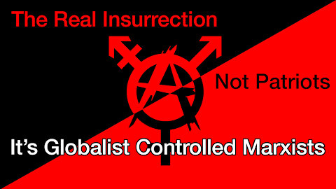 Globalist Controlled Marxists, The Real Insurrection Exists Within Congress w/ Terry Turchie (1of2)