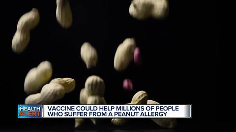 University of Michigan study: Vaccine suppresses peanut allergies in mice