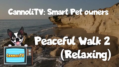 CannoliTV Video Library: Peaceful Dog Walk Along The Beach - 02