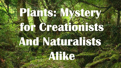 Plants: Mystery for Creationists and Naturalists Alike