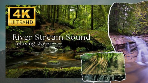 4K Forest Stream Relaxing River Sounds