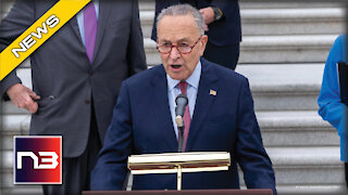 Schumer’s Massive Amnesty Bill Gets A Death Blow In Senate