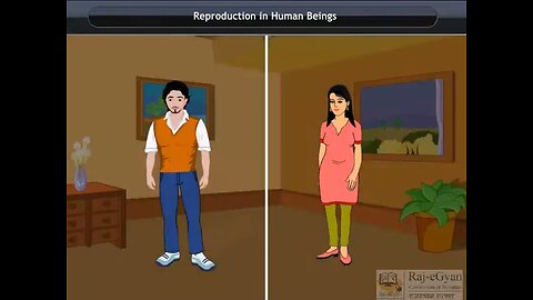 reproduction in human beings