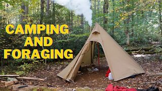 Hot Tent Camping and Foraging Mushrooms in the Rain.