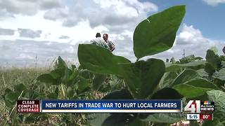 Farmers in Johnson County wary of trade war with China