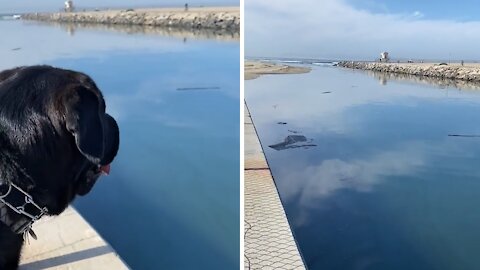 Flood channel between Newport and Huntington Beach coated with oil & tar