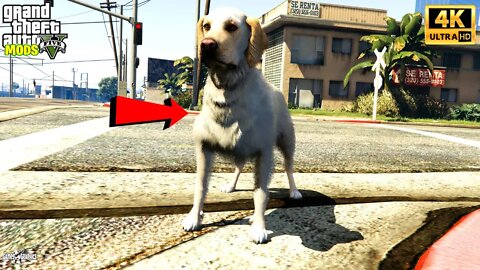 How to install Personal Dog Script (2022) GTA 5 MODS