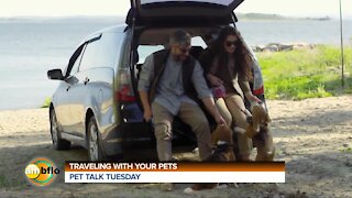 Pet Talk Tuesday – Tips for traveling with your pet