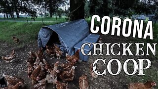 How To Build A Pandemic Chicken Coop/ EASY & CHEAP!