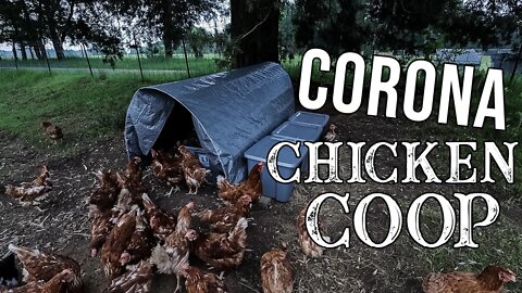 How To Build A Pandemic Chicken Coop/ EASY & CHEAP!