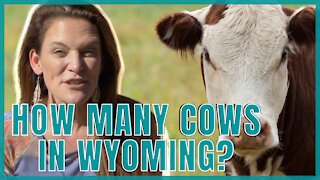 What is Casper Wyoming known for?