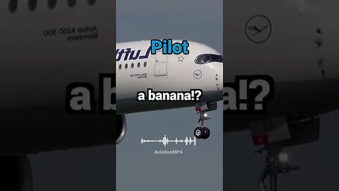 Tower Calls Pilot a Banana 🍌